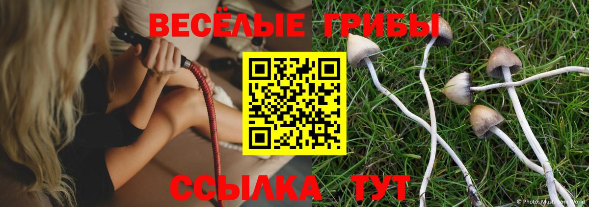 Псилоцибиновые грибы MAGIC MUSHROOMS  Галлюциногенные грибы прущие грибы  Вход с VPN  Королёв 